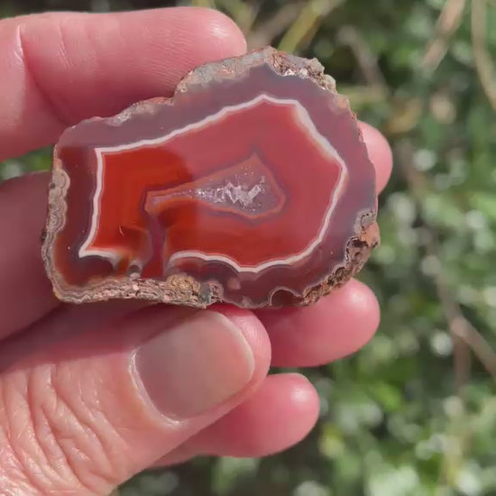 Polished Malawi agate 42 mm – rotating view, scalloped banding and flow channel | SKU 000494