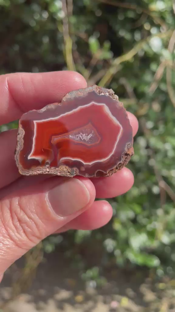 Polished Malawi agate 42 mm – rotating view, scalloped banding and flow channel | SKU 000494