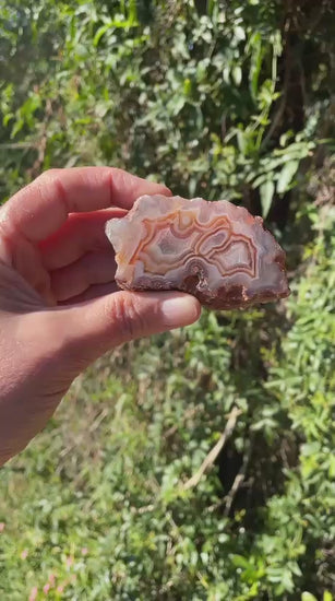 sard-carnelian Malawi agate 80 mm – video, crazy lace banding, eye, natural sunlight | SKU 000374