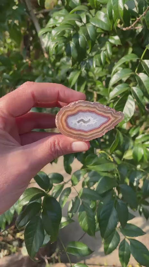 Video of Malawi agate 60 mm – golden-amber to sard-red banding, scalloped inner edges, agate floater in pale blue-grey chalcedony centre, Ngabu deposit | SKU 000367