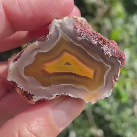 Natural hand-polished Malawi agate 48 mm – rotating view, scalloped banding, ghost banding | SKU 000497