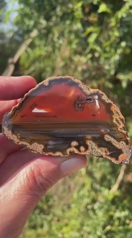 Lilangabi agate 72mm – video, waterlines, dendritic inclusions, carnelian-red depth | SKU LIL00020
