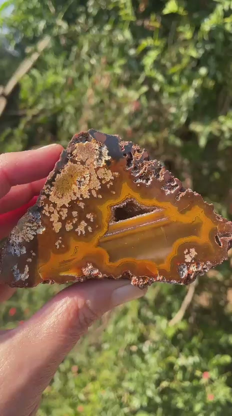 Lilangabi agate 98mm – video, vug, waterlines and dendritic inclusions, amber-sard depth | SKU LIL00016
