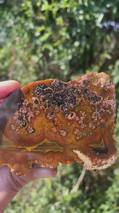 Lilangabi agate 107 mm – video, plume inclusions, multi-chambered structure, amber and orange palette, Eswatini | SKU LIL00028