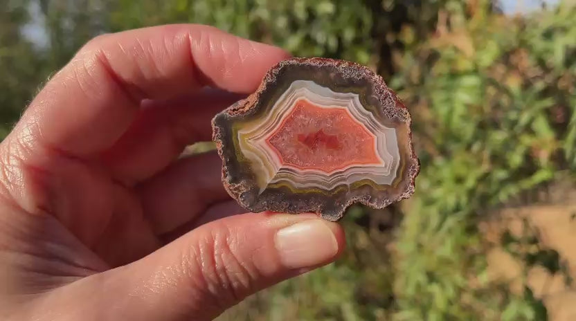 Malawi agate 50 mm – rotating view, parallax, floater, ghost banding, scalloped banding