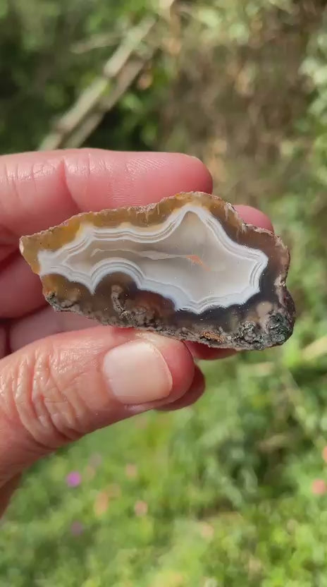Ghost banding Malawi agate 50mm – rotating view, ghost banding, scalloped banding | SKU 000340