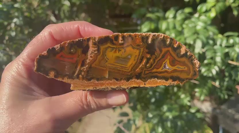 Lilangabi agate 117mm – video, multi-chambered structure, fortification banding, waterlines, scalloped banding, sard-orange palette | SKU LIL00014