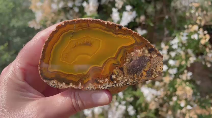  Lilangabi agate 98 mm – rotating view, parallax, fortification banding