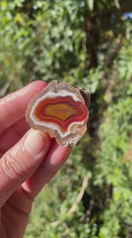 sard-carnelian Malawi agate 35 mm – video, shadow banding, scalloped banding, natural sunlight | SKU 000375