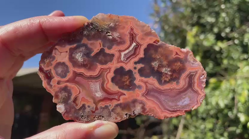 Malawi agate 96 mm – rotating view, multi-chambered, eyes and plume formations