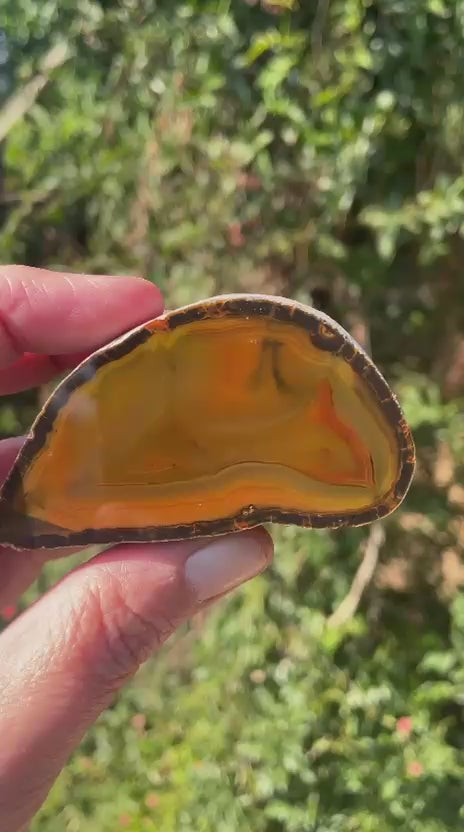 Lilangabi agate 71mm – video, chromatism and amber-carnelian palette depth | SKU LIL00019