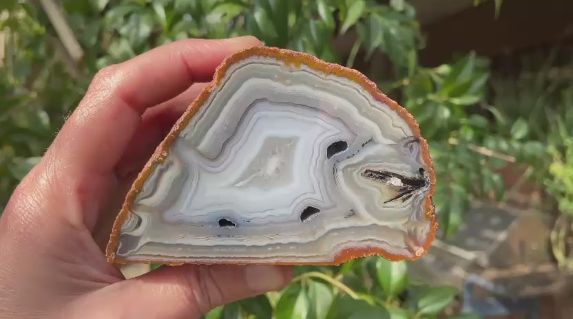 South African agate 104 mm – rotating view, flow channel, perimorph, fortification banding