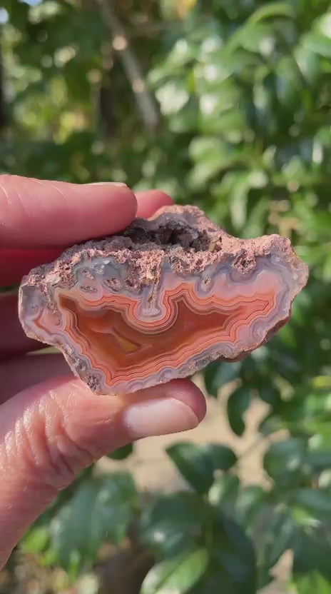 Video of Malawi agate 53 mm – crazy lace banding, multi-directional sard-red to carnelian-orange arcs with blue-grey chalcedony zones, Ngabu deposit | SKU 000363
