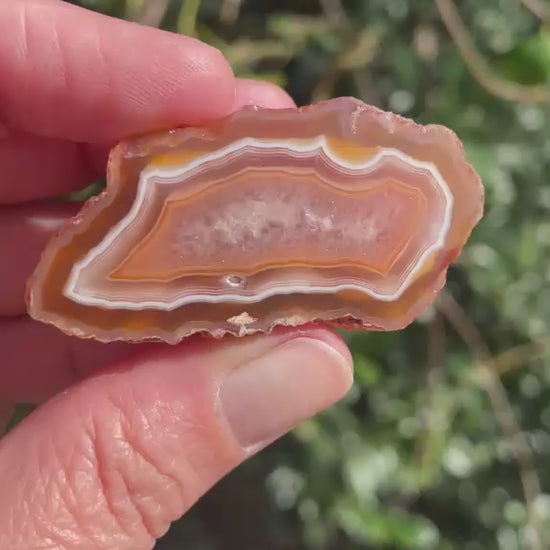 Polished Malawi agate 52 mm – rotating view, scalloped banding, ghost banding | SKU 000495