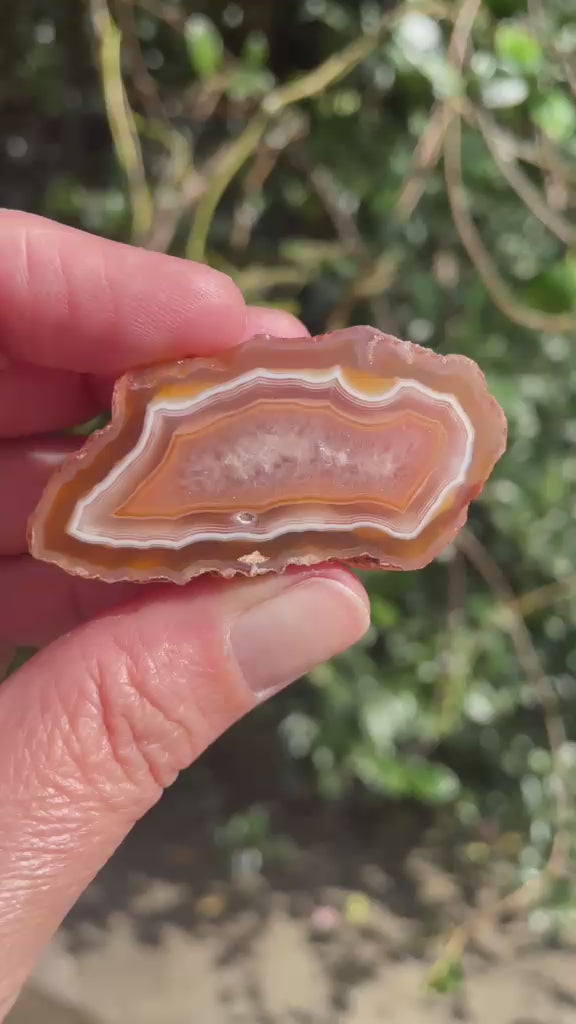 Polished Malawi agate 52 mm – rotating view, scalloped banding, ghost banding | SKU 000495