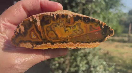 Lilangabi agate 117mm – video, multi-chambered structure, fortification banding, waterlines, scalloped banding, sard-orange palette | SKU LIL00013