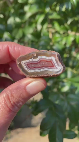 Video of Malawi agate 34 mm – symmetrical wavy banding, sard-red to burgundy inner band, lavender-grey chalcedony centre, Ngabu deposit | SKU 000360