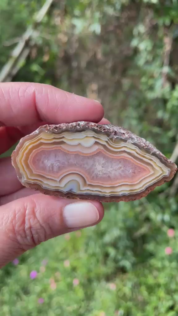 Ghost banding Malawi agate 63mm – rotating view, ghost banding, scalloped banding | SKU 000399