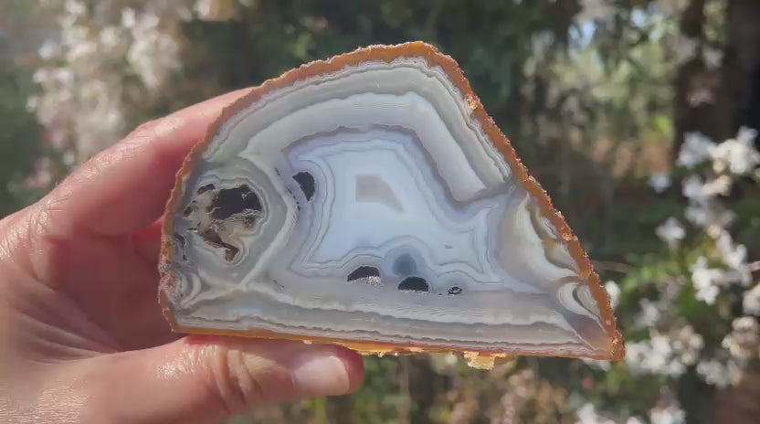 South African agate 102 mm – rotating view, flow channels, perimorphs, concentric banding