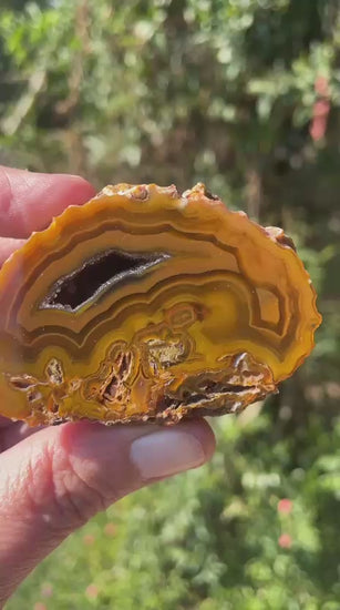 Lilangabi agate 63 mm – video, druzy vug, scalloped banding, amber and golden yellow palette, Eswatini | SKU LIL00030
