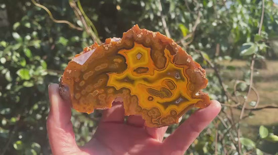 Lilangabi agate 110 mm – video, multi-chambered structure, fortification banding, agate eyes, amber and golden yellow palette, Eswatini | SKU LIL00036