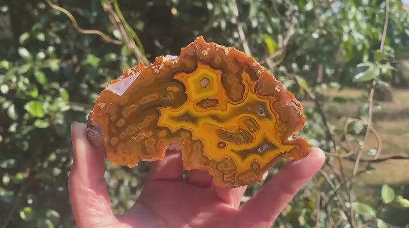 Lilangabi agate 110 mm – video, multi-chambered structure, fortification banding, agate eyes, amber and golden yellow palette, Eswatini | SKU LIL00036