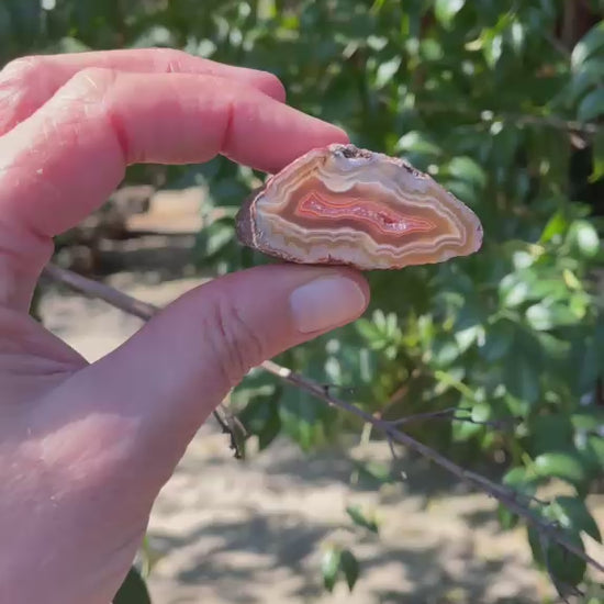 caramel-orange Malawi agate 46 mm – video, fortification banding, ghost banding, druzy inner zone, scalloped banding, vug, natural sunlight | SKU 000370