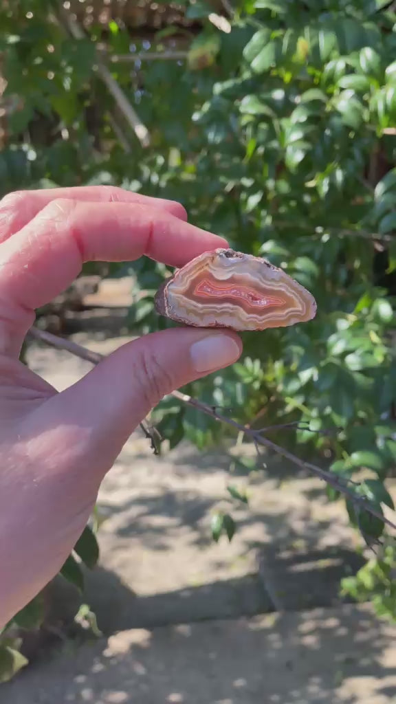 caramel-orange Malawi agate 46 mm – video, fortification banding, ghost banding, druzy inner zone, scalloped banding, vug, natural sunlight | SKU 000370